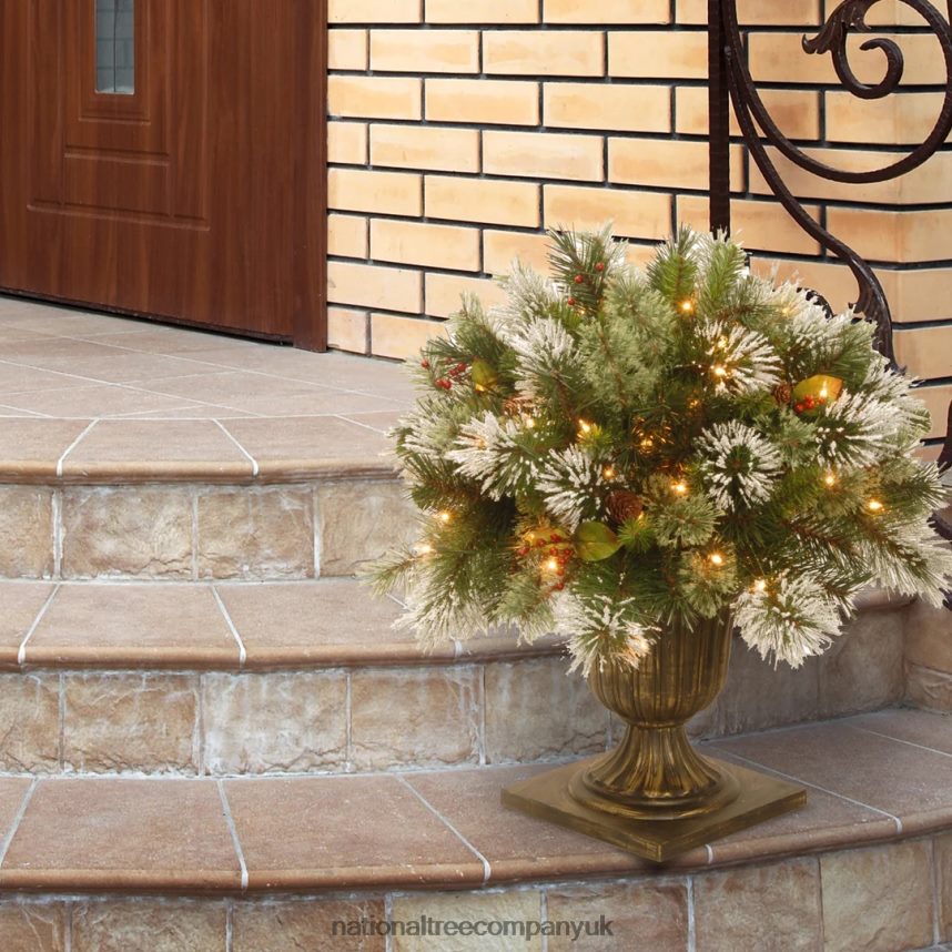 Greenery | National Tree Company 24\ Wintry Pine(R) Porch Bush with Clear Lights F2L4F493